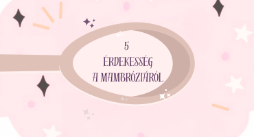 5 érdekesseg a Mambróziáról